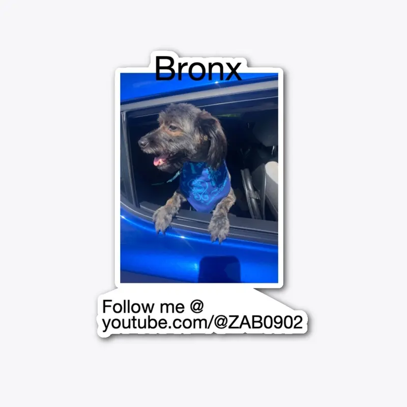 Bronx The Adventurer